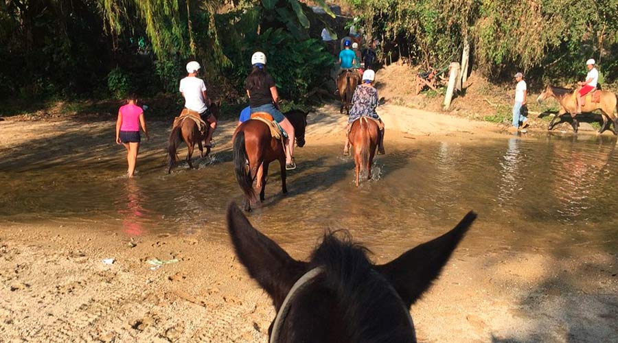 Yelapa Beach Horseback riding